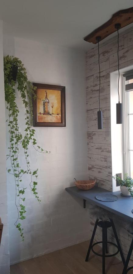 Dailidziu Apartamentai Klaipėda Buitenkant foto